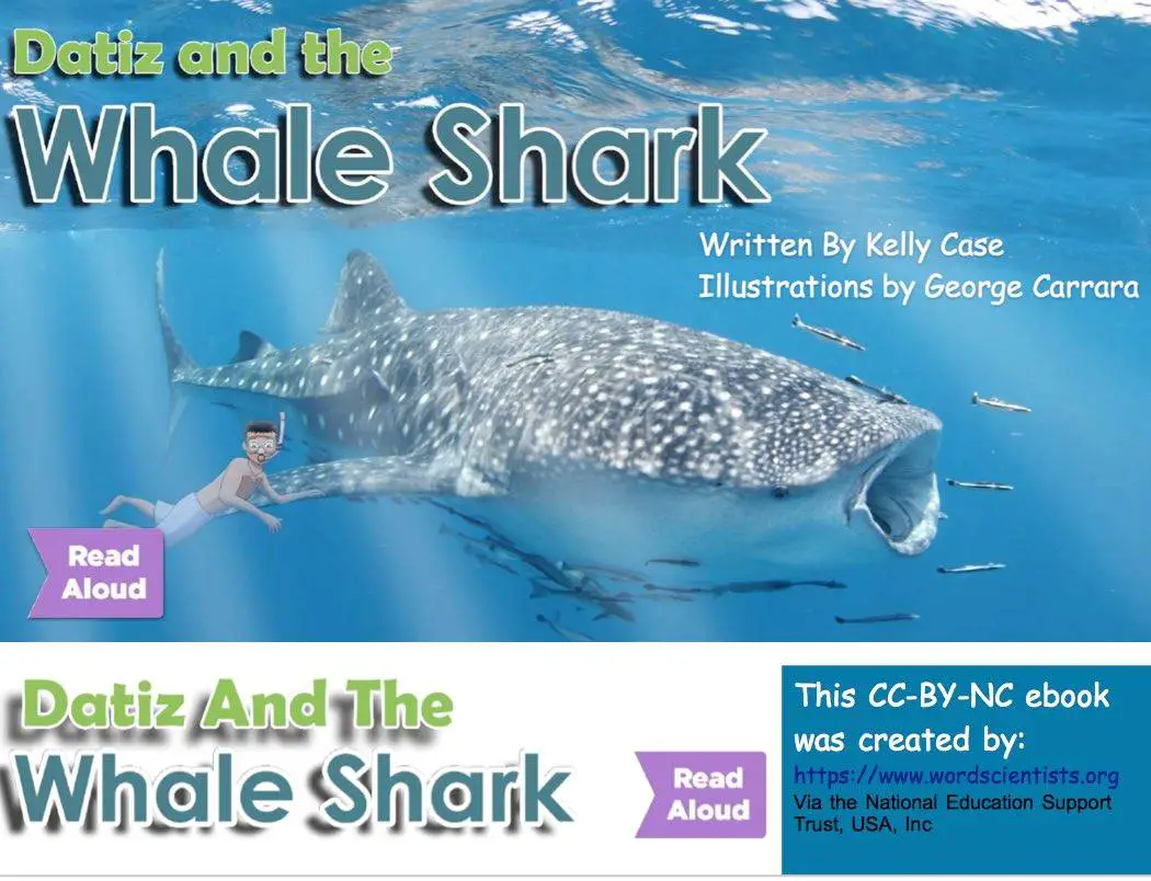 Whale Talk Full Book Pdf Download Free