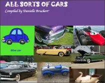 all sorts of cars