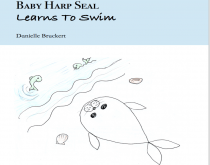 Baby Harp Seal Learns To Swim