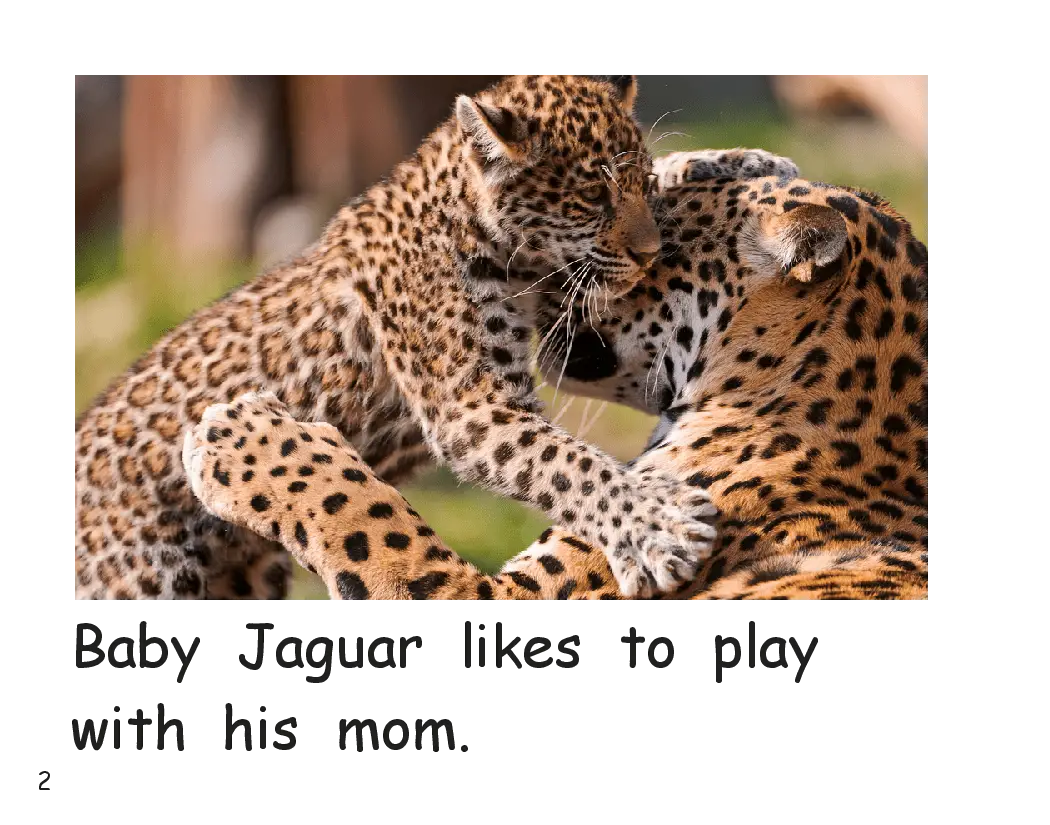 baby jaguar