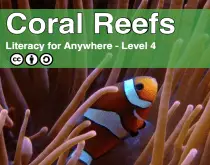 coral reefs