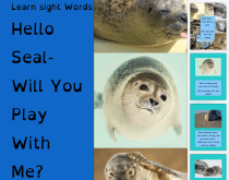 hello seal