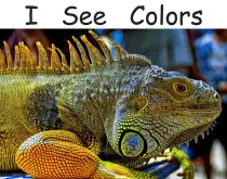 i see colours