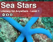 sea stars