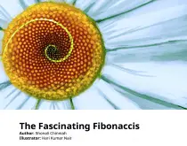 the fascinating fibonaccis