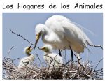Animal Homes Spanish Book for Children