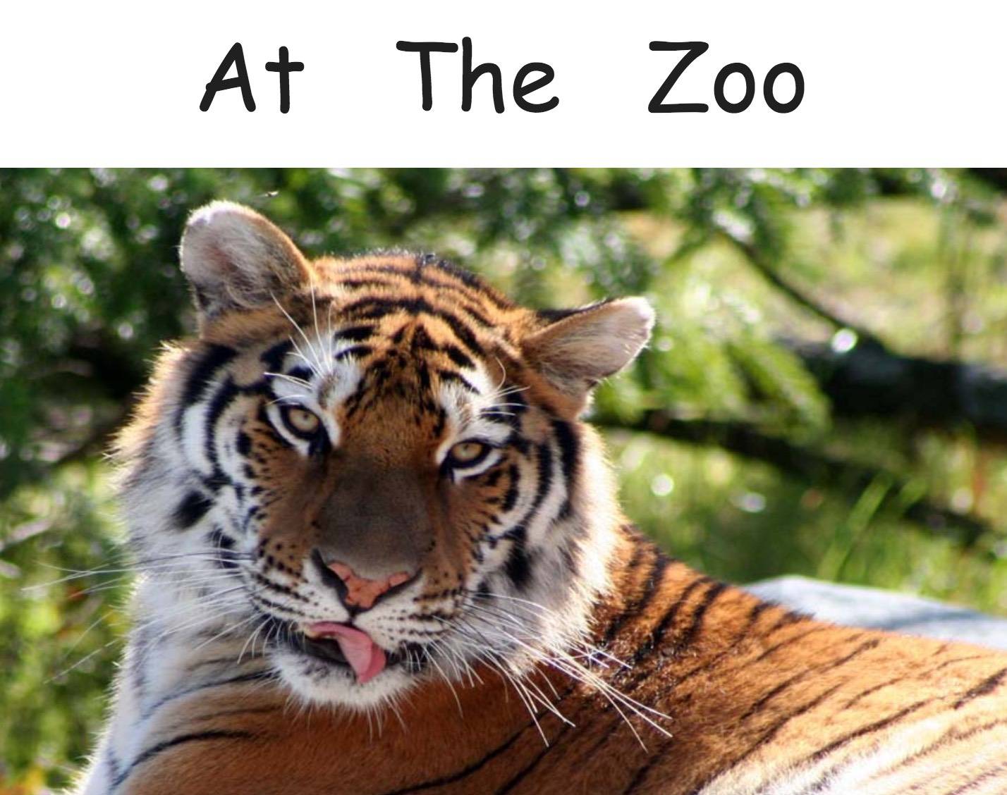 At the Zoo - early reader