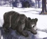 bhabhloo bear's adventure
