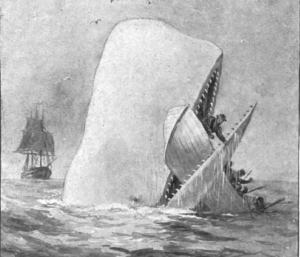 moby dick the whale