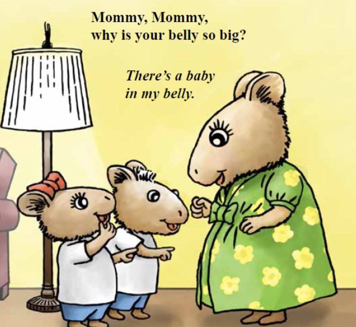 A Baby in the Belly - a fun way to help teach kids about ...