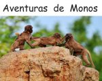 Monkey-Adventures-Spanish