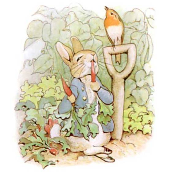 peter rabbit illustrated free ebook