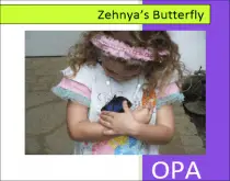 zehnya's butterfly
