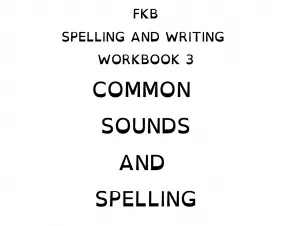 Common spelling workbook dyslexic