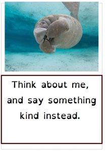 calming manatee