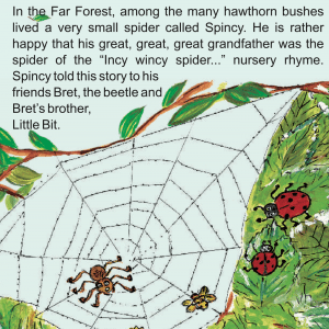 spincy-spider-early-grade-fiction