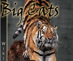 non fiction book about big cats