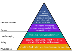 emotional hierarchy