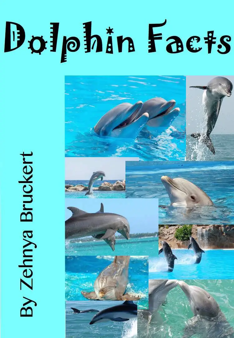 dolphin facts early non-fiction