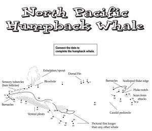 NOAA humpback whale activity book