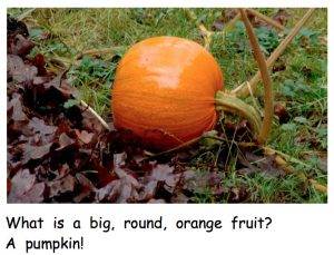 pumpkins early reader