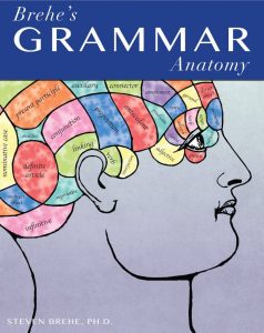 Brehe's Grammar Anatomy