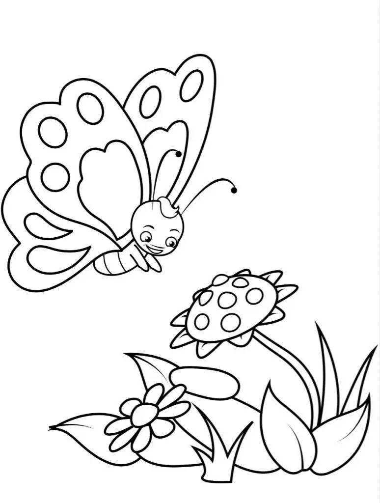 butterfly colouring page