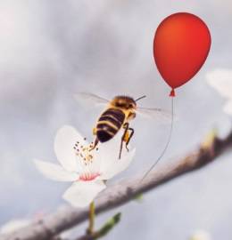 The BIG Red Balloon