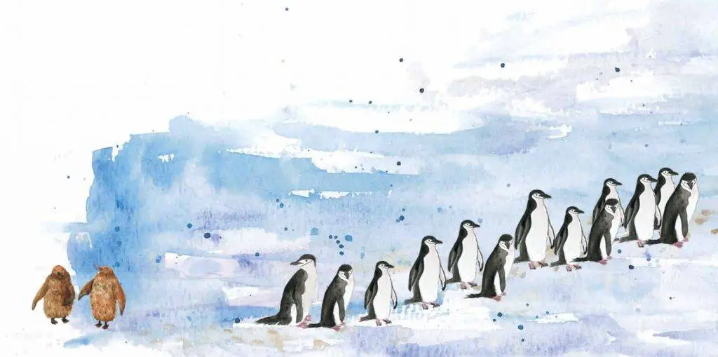 penguin picture book