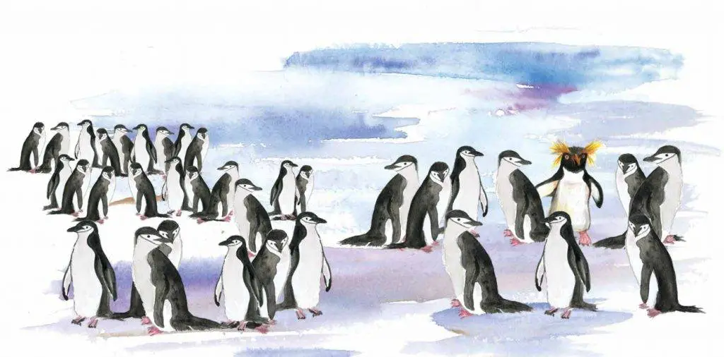 penguin picture book