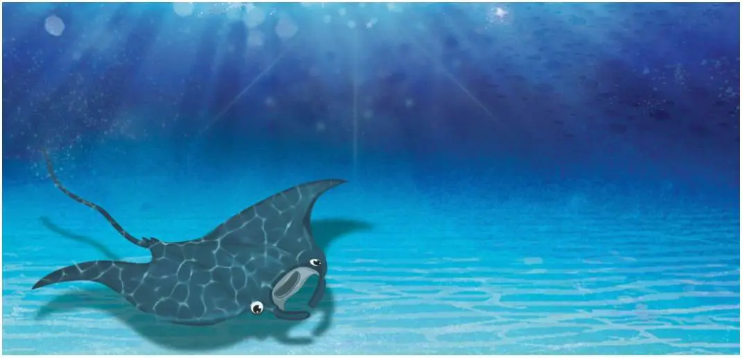 stingray children's story