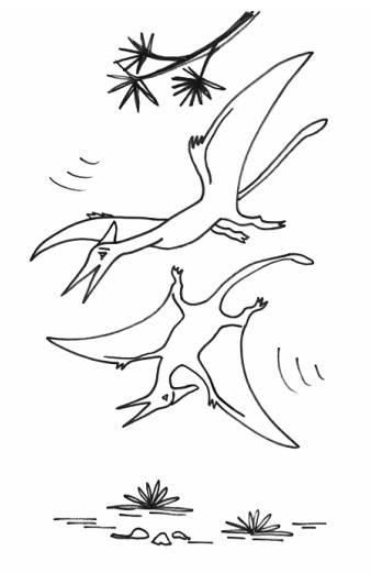 Pteranodons