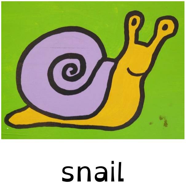 first animal book snail