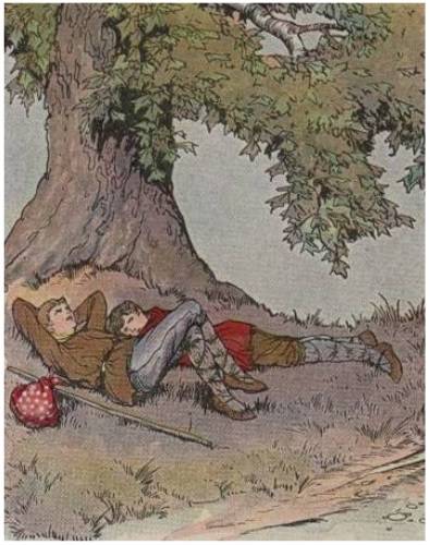Aesop's fables The Plane Tree