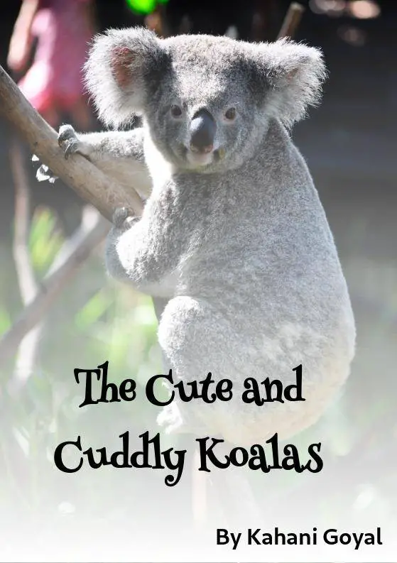 The Cute and Cuddly Koalas - Free Kids Books