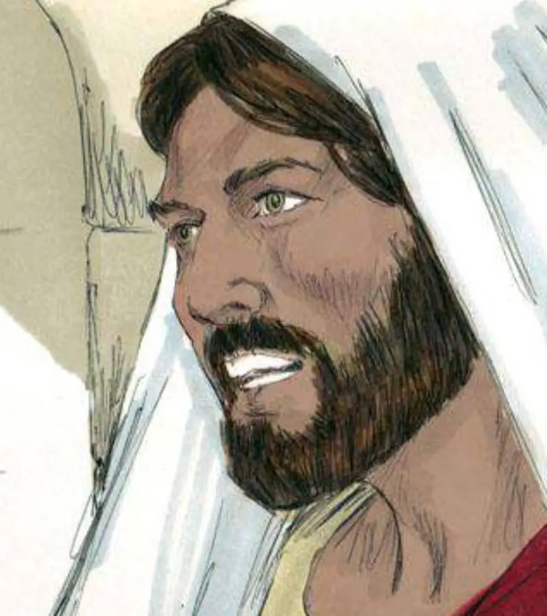 50 children's illustrated bible stories