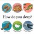 How Do You Sleep?