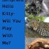 Hello Kitty – Will You Play With Me?