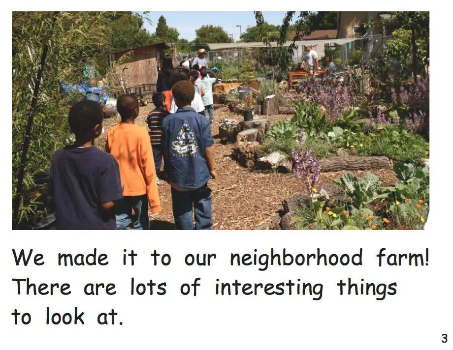 Our Neighbourhood farm early reader free download sample page