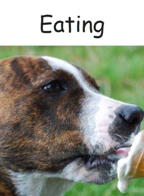 Animals Eating early reader free childrens ebook cover