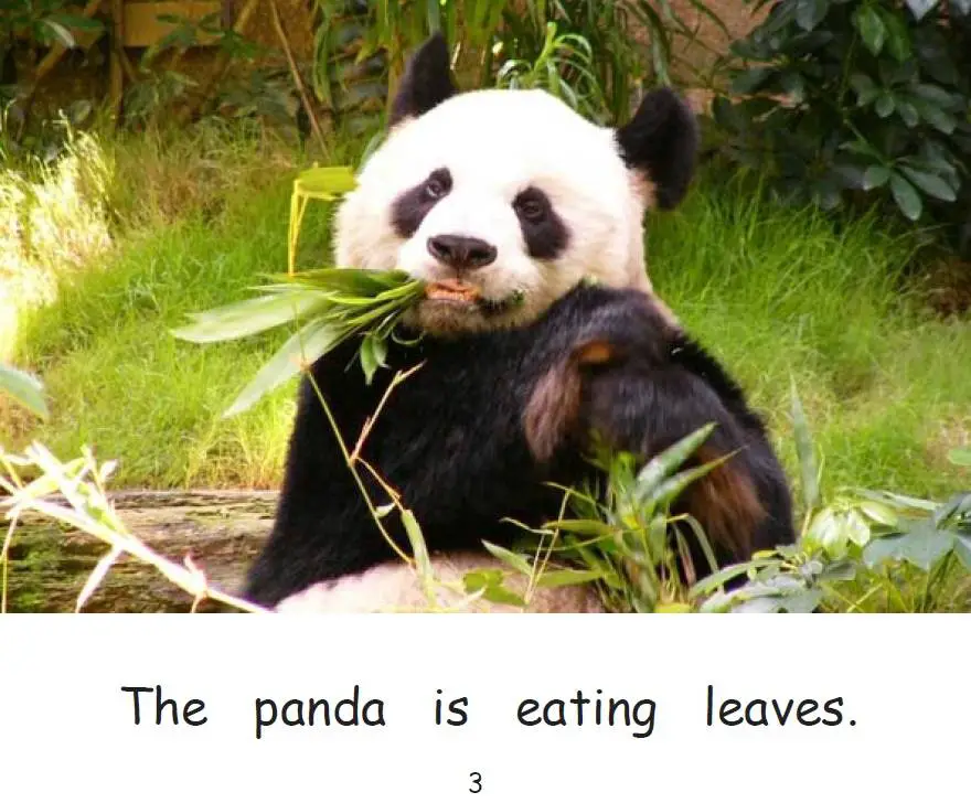 Animals Eating early reader free childrens ebook page